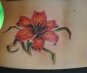 Красивая татуировка лилия